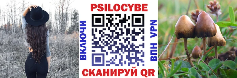 Псилоцибиновые грибы Magic Shrooms гидра tor Красный Сулин наркошоп