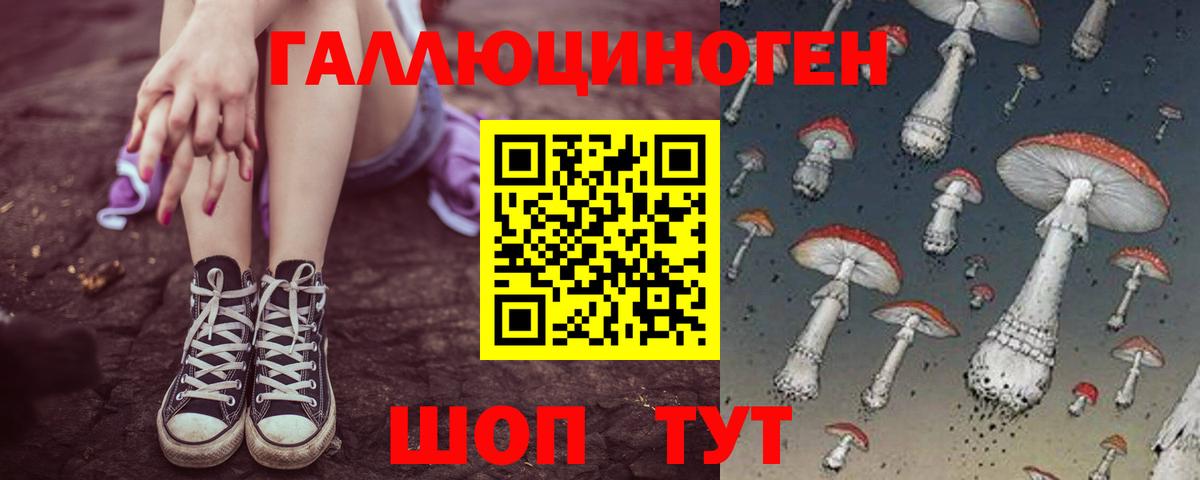 Галлюциногенные грибы мицелий Красный Сулин