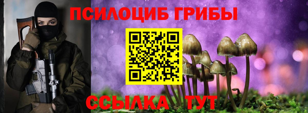 Псилоцибиновые грибы мухоморы  Псилоцибиновые грибы Magic Shrooms  Вход с VPN  Красный Сулин 