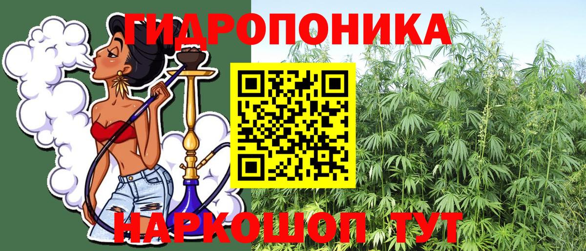 Бошки Шишки индика Красный Сулин